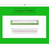 口琴国光24孔复音初学者儿童学生高音成人自学专业演奏级重音口琴 回声 c调(轻音）