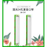 口琴国光24孔复音初学者儿童学生高音成人自学专业演奏级重音口琴 回声 c调(轻音）