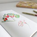 日本KOKUYO国誉drawing+双面绘图本涂鸦本图画本美术写生本速写本KE-SP9-2