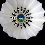 Yonex尤尼克斯羽毛球12只装yy耐打训练鸭毛AS05/03