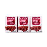 风行牛奶 红枣枸杞牛奶饮品 200ml*18盒