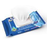 洁柔(C&S)JS205-01湿厕纸 除菌40片（抽取式湿巾）私处消毒卫生清洁湿巾纸 多种精华配制而成不添加酒精 温和不刺激