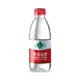 农夫山泉 饮用水 饮用天然水380ml *24瓶 整箱装