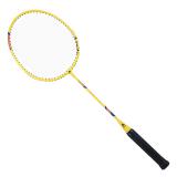 【得力旗下】安格耐特（Agnite）F2101羽毛球拍双拍耐用型蓝黄色两只装