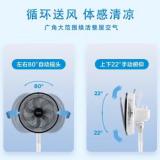 美的（Midea）循环扇家用落地扇轻音摇头空气循环扇台地两用客厅卧室节能电风扇 FGA24UXC