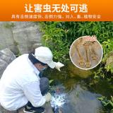 宝世家洁灭蚊幼虫基孔肯雅热蚊子幼虫药颗粒剂吡虫啉灭蚊幼孑孓蚊子杀虫剂 1000克/1桶