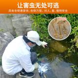 宝世家洁 苏云金杆菌BT以色列亚种灭蚊幼虫剂杀蚊子孑孓防登革热基孔肯雅热 500克1包