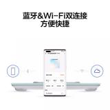 为智能体脂秤 3 Pro 羽砂白 电子秤体重秤体脂秤家用 双频检测精准/WiFi蓝牙双连接