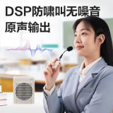 得力（deli）小蜜蜂扩音器教师上课专用无线麦克风老师讲课导游喇叭扬声器 LT920深灰色-13W超大功率有线款