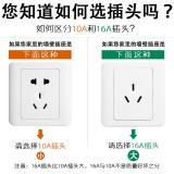 公牛 10A插头两极两项两叉两孔220V插座头电源插头空调插头无线 2脚可旋转插头T-10L6