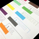 盛泰档案 (ST) 干部人事档案分类纸/隔页纸/索引纸/A4十类纸/双胶纸 字少款100张/包【1套十类/十套1包】